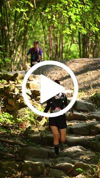 BIB:  <button type="button" onclick="openModal(27949172)" class="btn btn-primary btn-sm float-right" data-toggle="modal" data-target=".modal-high-quality">
                <i class="fa fa-download"></i> Download
                </button>