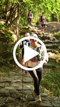 BIB:  <button type="button" onclick="openModal(27950108)" class="btn btn-primary btn-sm float-right" data-toggle="modal" data-target=".modal-high-quality">
                <i class="fa fa-download"></i> Download
                </button>