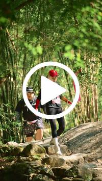 BIB:  <button type="button" onclick="openModal(27948702)" class="btn btn-primary btn-sm float-right" data-toggle="modal" data-target=".modal-high-quality">
                <i class="fa fa-download"></i> Download
                </button>