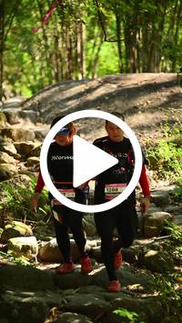 BIB:  <button type="button" onclick="openModal(27948893)" class="btn btn-primary btn-sm float-right" data-toggle="modal" data-target=".modal-high-quality">
                <i class="fa fa-download"></i> Download
                </button>