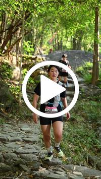 BIB:  <button type="button" onclick="openModal(27950526)" class="btn btn-primary btn-sm float-right" data-toggle="modal" data-target=".modal-high-quality">
                <i class="fa fa-download"></i> Download
                </button>