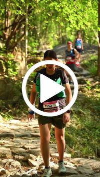 BIB:  <button type="button" onclick="openModal(27949571)" class="btn btn-primary btn-sm float-right" data-toggle="modal" data-target=".modal-high-quality">
                <i class="fa fa-download"></i> Download
                </button>