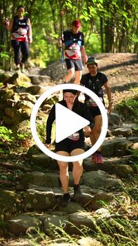 BIB:  <button type="button" onclick="openModal(27949097)" class="btn btn-primary btn-sm float-right" data-toggle="modal" data-target=".modal-high-quality">
                <i class="fa fa-download"></i> Download
                </button>