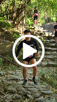 BIB:  <button type="button" onclick="openModal(27950417)" class="btn btn-primary btn-sm float-right" data-toggle="modal" data-target=".modal-high-quality">
                <i class="fa fa-download"></i> Download
                </button>