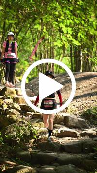 BIB:  <button type="button" onclick="openModal(27949057)" class="btn btn-primary btn-sm float-right" data-toggle="modal" data-target=".modal-high-quality">
                <i class="fa fa-download"></i> Download
                </button>