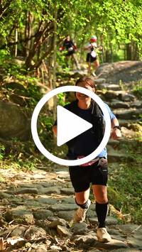 BIB:  <button type="button" onclick="openModal(27949804)" class="btn btn-primary btn-sm float-right" data-toggle="modal" data-target=".modal-high-quality">
                <i class="fa fa-download"></i> Download
                </button>