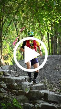 BIB:  <button type="button" onclick="openModal(27950948)" class="btn btn-primary btn-sm float-right" data-toggle="modal" data-target=".modal-high-quality">
                <i class="fa fa-download"></i> Download
                </button>