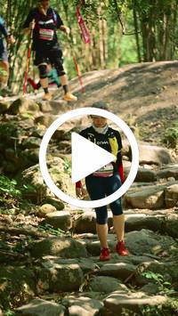 BIB:  <button type="button" onclick="openModal(27948781)" class="btn btn-primary btn-sm float-right" data-toggle="modal" data-target=".modal-high-quality">
                <i class="fa fa-download"></i> Download
                </button>