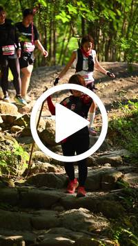 BIB:  <button type="button" onclick="openModal(27949149)" class="btn btn-primary btn-sm float-right" data-toggle="modal" data-target=".modal-high-quality">
                <i class="fa fa-download"></i> Download
                </button>