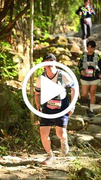 BIB:  <button type="button" onclick="openModal(27949466)" class="btn btn-primary btn-sm float-right" data-toggle="modal" data-target=".modal-high-quality">
                <i class="fa fa-download"></i> Download
                </button>