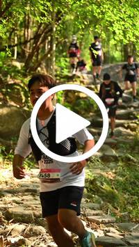 BIB:  <button type="button" onclick="openModal(27949667)" class="btn btn-primary btn-sm float-right" data-toggle="modal" data-target=".modal-high-quality">
                <i class="fa fa-download"></i> Download
                </button>