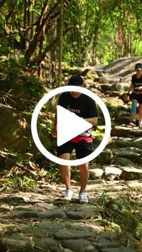 BIB:  <button type="button" onclick="openModal(27948913)" class="btn btn-primary btn-sm float-right" data-toggle="modal" data-target=".modal-high-quality">
                <i class="fa fa-download"></i> Download
                </button>