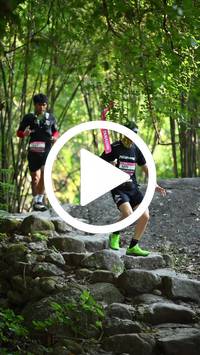 BIB:  <button type="button" onclick="openModal(27951155)" class="btn btn-primary btn-sm float-right" data-toggle="modal" data-target=".modal-high-quality">
                <i class="fa fa-download"></i> Download
                </button>