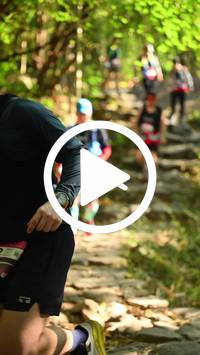 BIB:  <button type="button" onclick="openModal(27949580)" class="btn btn-primary btn-sm float-right" data-toggle="modal" data-target=".modal-high-quality">
                <i class="fa fa-download"></i> Download
                </button>