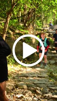 BIB:  <button type="button" onclick="openModal(27949806)" class="btn btn-primary btn-sm float-right" data-toggle="modal" data-target=".modal-high-quality">
                <i class="fa fa-download"></i> Download
                </button>