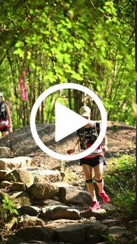 BIB:  <button type="button" onclick="openModal(27949081)" class="btn btn-primary btn-sm float-right" data-toggle="modal" data-target=".modal-high-quality">
                <i class="fa fa-download"></i> Download
                </button>