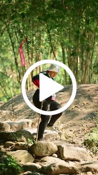 BIB:  <button type="button" onclick="openModal(27948538)" class="btn btn-primary btn-sm float-right" data-toggle="modal" data-target=".modal-high-quality">
                <i class="fa fa-download"></i> Download
                </button>