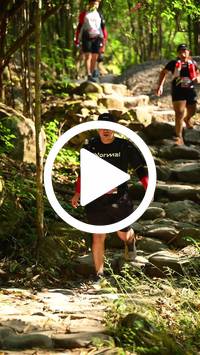 BIB:  <button type="button" onclick="openModal(27949265)" class="btn btn-primary btn-sm float-right" data-toggle="modal" data-target=".modal-high-quality">
                <i class="fa fa-download"></i> Download
                </button>