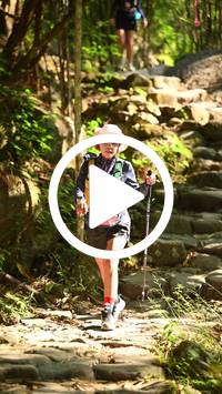 BIB:  <button type="button" onclick="openModal(27949251)" class="btn btn-primary btn-sm float-right" data-toggle="modal" data-target=".modal-high-quality">
                <i class="fa fa-download"></i> Download
                </button>