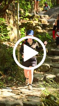 BIB:  <button type="button" onclick="openModal(27949524)" class="btn btn-primary btn-sm float-right" data-toggle="modal" data-target=".modal-high-quality">
                <i class="fa fa-download"></i> Download
                </button>