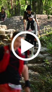 BIB:  <button type="button" onclick="openModal(27950293)" class="btn btn-primary btn-sm float-right" data-toggle="modal" data-target=".modal-high-quality">
                <i class="fa fa-download"></i> Download
                </button>