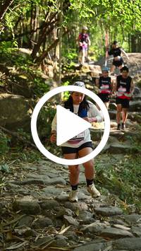 BIB:  <button type="button" onclick="openModal(27950254)" class="btn btn-primary btn-sm float-right" data-toggle="modal" data-target=".modal-high-quality">
                <i class="fa fa-download"></i> Download
                </button>