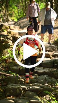 BIB:  <button type="button" onclick="openModal(27949030)" class="btn btn-primary btn-sm float-right" data-toggle="modal" data-target=".modal-high-quality">
                <i class="fa fa-download"></i> Download
                </button>