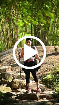 BIB:  <button type="button" onclick="openModal(27948949)" class="btn btn-primary btn-sm float-right" data-toggle="modal" data-target=".modal-high-quality">
                <i class="fa fa-download"></i> Download
                </button>