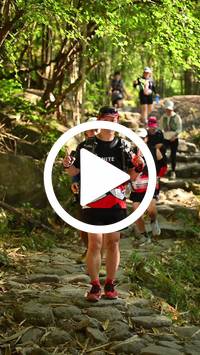 BIB:  <button type="button" onclick="openModal(27950112)" class="btn btn-primary btn-sm float-right" data-toggle="modal" data-target=".modal-high-quality">
                <i class="fa fa-download"></i> Download
                </button>