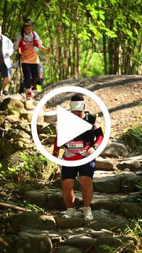 BIB:  <button type="button" onclick="openModal(27949023)" class="btn btn-primary btn-sm float-right" data-toggle="modal" data-target=".modal-high-quality">
                <i class="fa fa-download"></i> Download
                </button>