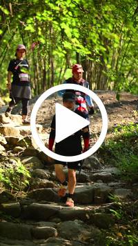 BIB:  <button type="button" onclick="openModal(27949263)" class="btn btn-primary btn-sm float-right" data-toggle="modal" data-target=".modal-high-quality">
                <i class="fa fa-download"></i> Download
                </button>