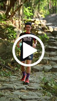 BIB:  <button type="button" onclick="openModal(27950438)" class="btn btn-primary btn-sm float-right" data-toggle="modal" data-target=".modal-high-quality">
                <i class="fa fa-download"></i> Download
                </button>