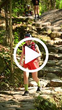 BIB:  <button type="button" onclick="openModal(27948953)" class="btn btn-primary btn-sm float-right" data-toggle="modal" data-target=".modal-high-quality">
                <i class="fa fa-download"></i> Download
                </button>