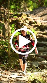 BIB:  <button type="button" onclick="openModal(27949118)" class="btn btn-primary btn-sm float-right" data-toggle="modal" data-target=".modal-high-quality">
                <i class="fa fa-download"></i> Download
                </button>