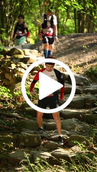 BIB:  <button type="button" onclick="openModal(27949272)" class="btn btn-primary btn-sm float-right" data-toggle="modal" data-target=".modal-high-quality">
                <i class="fa fa-download"></i> Download
                </button>