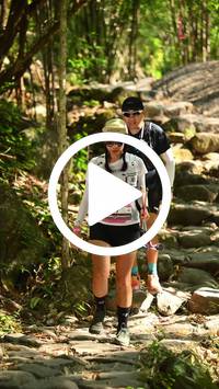 BIB:  <button type="button" onclick="openModal(27948942)" class="btn btn-primary btn-sm float-right" data-toggle="modal" data-target=".modal-high-quality">
                <i class="fa fa-download"></i> Download
                </button>