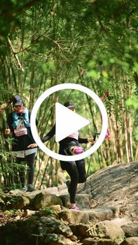 BIB:  <button type="button" onclick="openModal(27948584)" class="btn btn-primary btn-sm float-right" data-toggle="modal" data-target=".modal-high-quality">
                <i class="fa fa-download"></i> Download
                </button>