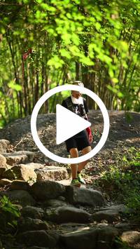 BIB:  <button type="button" onclick="openModal(27949447)" class="btn btn-primary btn-sm float-right" data-toggle="modal" data-target=".modal-high-quality">
                <i class="fa fa-download"></i> Download
                </button>