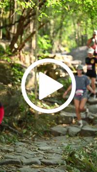 BIB:  <button type="button" onclick="openModal(27950394)" class="btn btn-primary btn-sm float-right" data-toggle="modal" data-target=".modal-high-quality">
                <i class="fa fa-download"></i> Download
                </button>