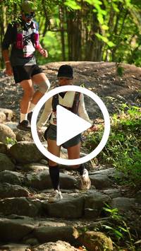 BIB:  <button type="button" onclick="openModal(27950059)" class="btn btn-primary btn-sm float-right" data-toggle="modal" data-target=".modal-high-quality">
                <i class="fa fa-download"></i> Download
                </button>