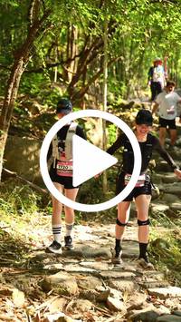 BIB:  <button type="button" onclick="openModal(27949491)" class="btn btn-primary btn-sm float-right" data-toggle="modal" data-target=".modal-high-quality">
                <i class="fa fa-download"></i> Download
                </button>