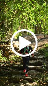 BIB:  <button type="button" onclick="openModal(27949273)" class="btn btn-primary btn-sm float-right" data-toggle="modal" data-target=".modal-high-quality">
                <i class="fa fa-download"></i> Download
                </button>