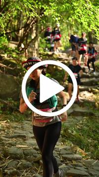 BIB:  <button type="button" onclick="openModal(27950118)" class="btn btn-primary btn-sm float-right" data-toggle="modal" data-target=".modal-high-quality">
                <i class="fa fa-download"></i> Download
                </button>