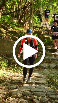 BIB:  <button type="button" onclick="openModal(27949849)" class="btn btn-primary btn-sm float-right" data-toggle="modal" data-target=".modal-high-quality">
                <i class="fa fa-download"></i> Download
                </button>