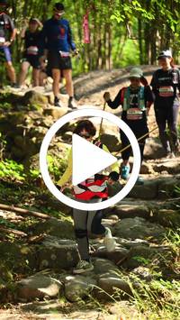 BIB:  <button type="button" onclick="openModal(27949011)" class="btn btn-primary btn-sm float-right" data-toggle="modal" data-target=".modal-high-quality">
                <i class="fa fa-download"></i> Download
                </button>