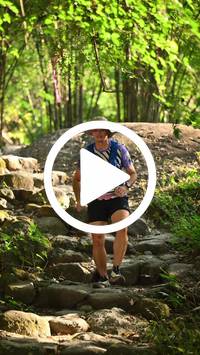 BIB:  <button type="button" onclick="openModal(27950229)" class="btn btn-primary btn-sm float-right" data-toggle="modal" data-target=".modal-high-quality">
                <i class="fa fa-download"></i> Download
                </button>