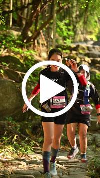 BIB:  <button type="button" onclick="openModal(27949807)" class="btn btn-primary btn-sm float-right" data-toggle="modal" data-target=".modal-high-quality">
                <i class="fa fa-download"></i> Download
                </button>