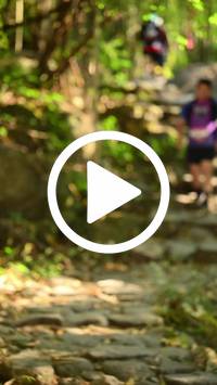 BIB:  <button type="button" onclick="openModal(27949791)" class="btn btn-primary btn-sm float-right" data-toggle="modal" data-target=".modal-high-quality">
                <i class="fa fa-download"></i> Download
                </button>