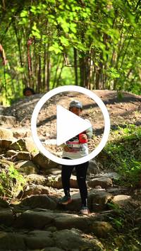 BIB:  <button type="button" onclick="openModal(27949120)" class="btn btn-primary btn-sm float-right" data-toggle="modal" data-target=".modal-high-quality">
                <i class="fa fa-download"></i> Download
                </button>