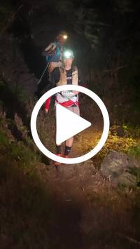 BIB:  <button type="button" onclick="openModal(28153739)" class="btn btn-primary btn-sm float-right" data-toggle="modal" data-target=".modal-high-quality">
                <i class="fa fa-download"></i> Download
                </button>